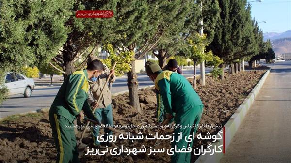 گوشه ای از زحمات شبانه روزی کارگران فضای سبز شهرداری نی ریز
