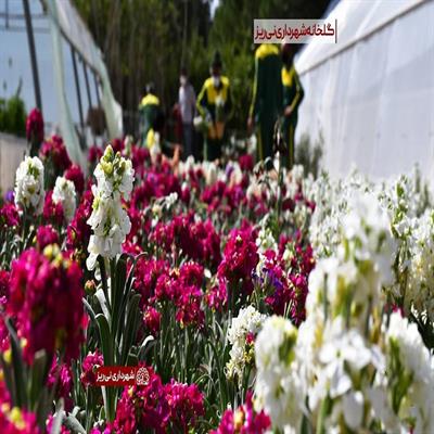 بهار 1400-5
