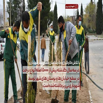 روز درختکاری 2