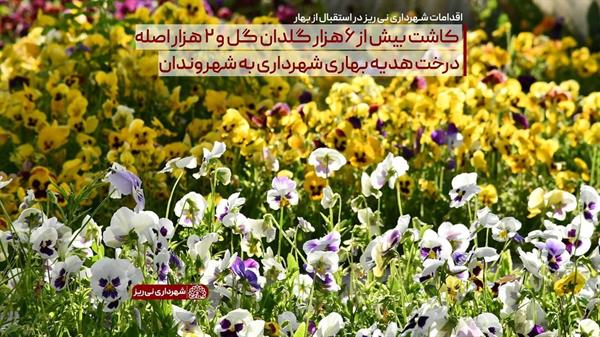 کاشت بیش از 6 هزار گلدان گل و 2 هزار اصله درخت هدیه بهاری شهرداری به شهروندان
