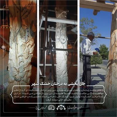 درختان خشک2