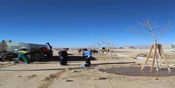 کاشت 375 درخت چنار 5 تا 7 ساله با آبیاری قطره ای در بولوار جدید الاحداث ولایت