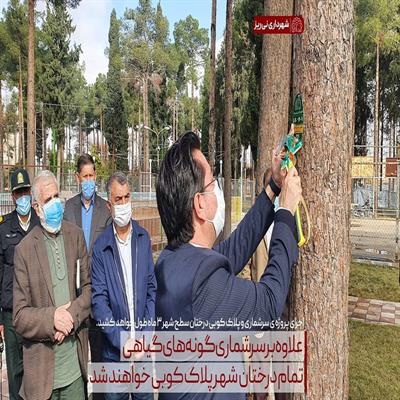 پلاک کوبی درختان3