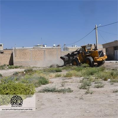 پاکسازی زمین4
