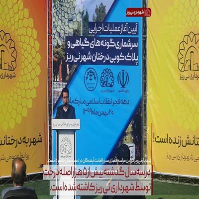 پلاک کوبی درختان 7