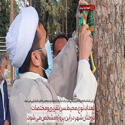 پلاک کوبی درختان 6
