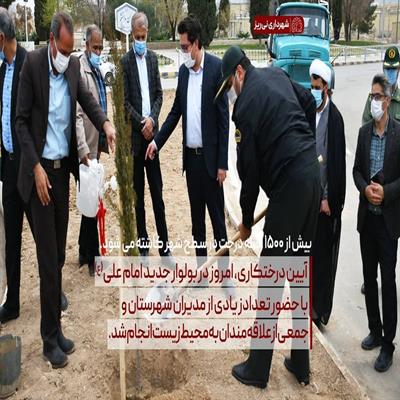 روز درختکاری 3