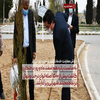 روز درختکاری 1