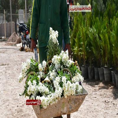 بهار1400-6