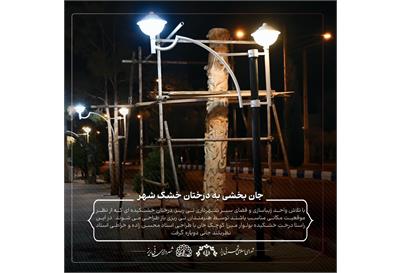 جان بخشی به درختان خشک شهر